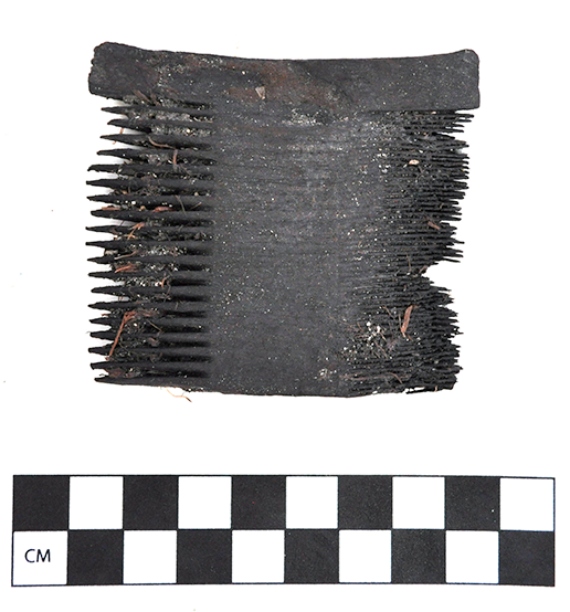 Image scan of a 2500-year-old wooden comb.