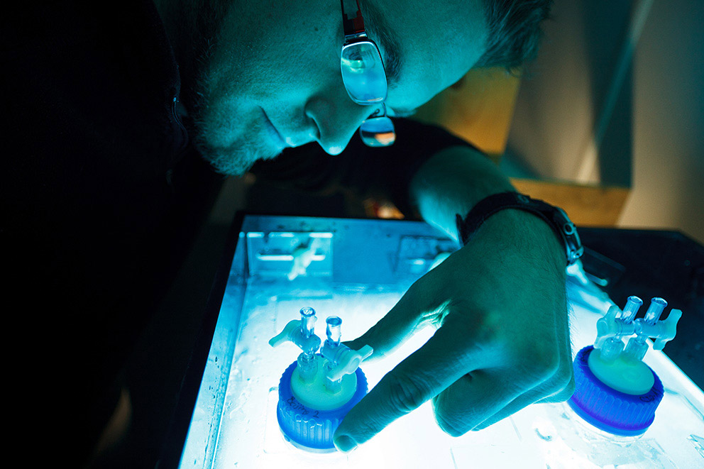 Le chercheur Jonathan Gagnon manipulant du matériel de laboratoire.