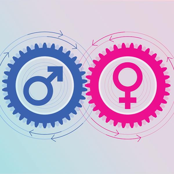 A graphic of a blue gear containing the male symbol and a pink gear containing the female symbol.