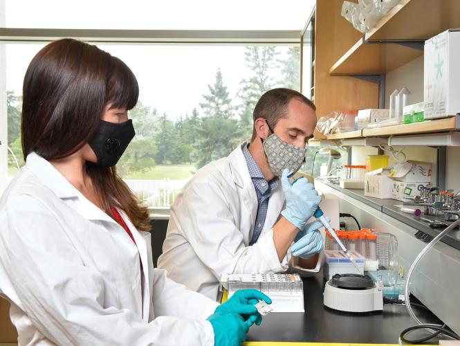 Deux personnes travaillant dans un laboratoire.