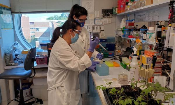 Two people in lab coats at a lab bench with plants in the foreground.