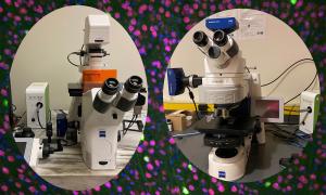 A collage of two microscopes.
