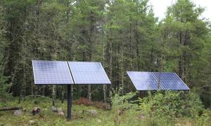 Solar panels on posts in a wooded area.