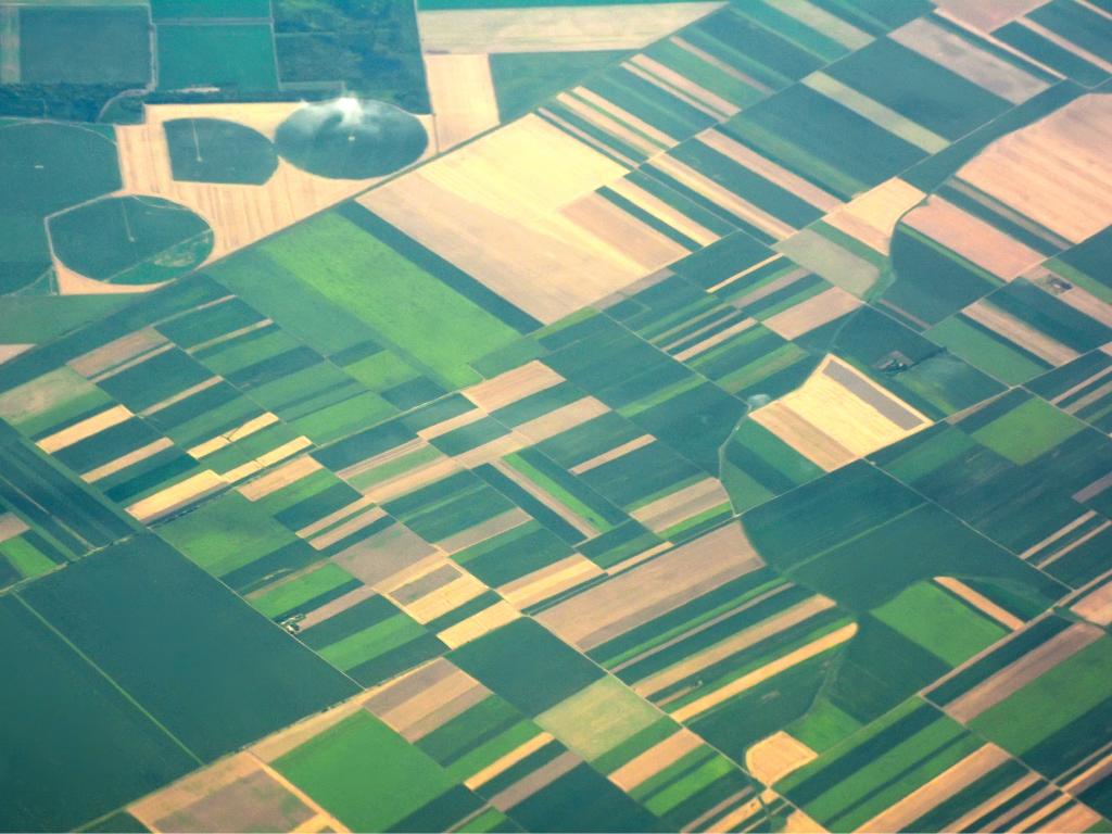An aerial shot of a patchwork of green and fallow fields