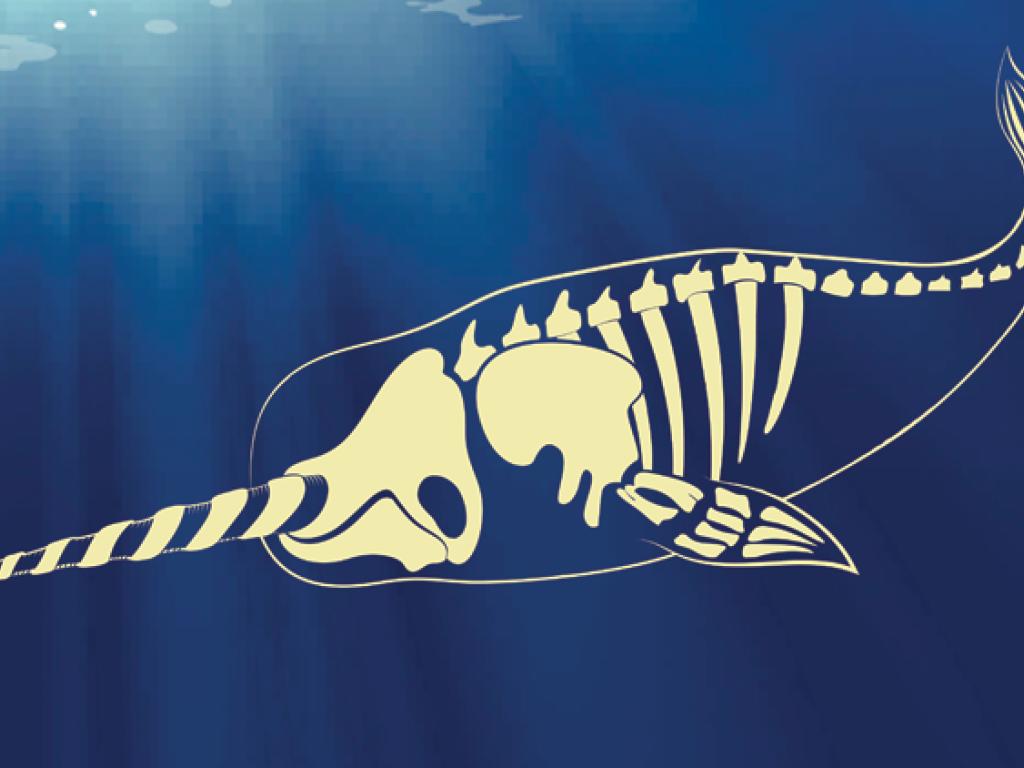 Image du squelette d'une créature marine superposée à un fond sous-marin.