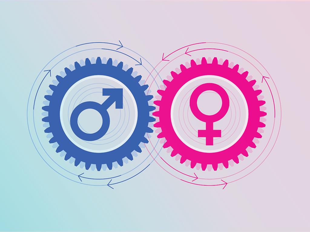A graphic of a blue gear containing the male symbol and a pink gear containing the female symbol.